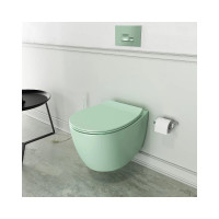 Сиденье для унитаза ALLEN BRAU Fantasy Smartfix, Soft-Close 4.11005.MT мятное 00288277