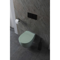 Чаша подвесного унитаза ALLEN BRAU Fantasy 4.11004.MT мятный 00288276