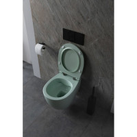 Чаша подвесного унитаза ALLEN BRAU Fantasy 4.11004.MT мятный 00288276