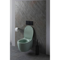 Чаша подвесного унитаза ALLEN BRAU Fantasy 4.11004.MT мятный 00288276