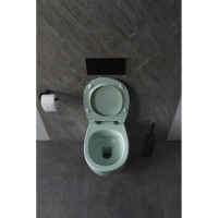 Чаша подвесного унитаза ALLEN BRAU Fantasy 4.11004.MT мятный 00288276