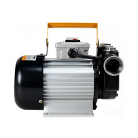 Электрический насос для ДТ и керосина Petropump ACTP 60 220 В PP220010