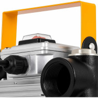 Электрический насос для ДТ и керосина Petropump ACTP 60 220 В PP220010