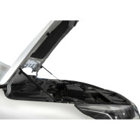 Упоры капота газовые 2 шт для jac j7 2020-н.в Rival A.ST.9201.1