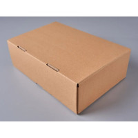 Самосборная коробка PACK INNOVATION 26x17x8 см, 50 шт. IP0GKSS261708-50