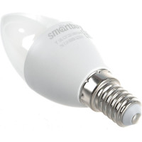 Светодиодная лампа Smartbuy LED C37-07W/6000 SBL-C37-07-60K-E14