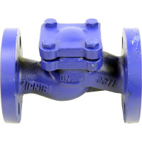 Клапан обратный подъемный DN.ru 287A Ду32 Ру16 фланцевый, чугунный D100-02374