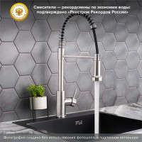 Смеситель для кухни РМС SUS124-016F-2