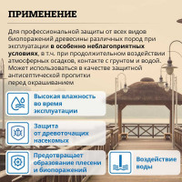 Антисептик GOLDBASTIK Биофикс 5 л BB 28 5