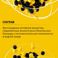 Антисептик GOLDBASTIK Супербио 5 л BB 20 5