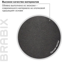 Компьютерное офисное кресло руководителя BRABIX PREMIUM Amadeus EX-507, с подлокотниками, экокожа, хром 530879