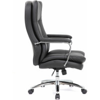 Компьютерное офисное кресло руководителя BRABIX PREMIUM Amadeus EX-507, с подлокотниками, экокожа, хром 530879