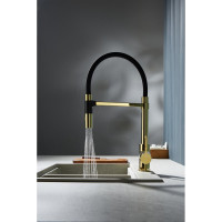 Смеситель для кухни Rose с гибким изливом R133E