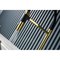 Смеситель для кухни Rose с гибким изливом R133E