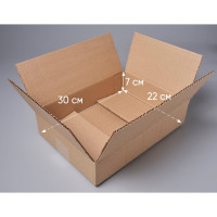 Картонная коробка PACK INNOVATION 30x22x7 см, объем 4,6 л, 100 шт. IP0GK00302207-100