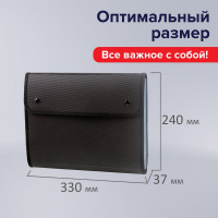 Папка для конференций BRAUBERG А4, 5 отделений, черная, Россия, 226015