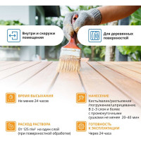 Антисептик против жуков GOLDBASTIK Биокиллер 5 л BB 22 5