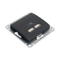 Розетка USB Systeme Electric (Schneider Electric) Glossa антрацит 5В/2100мА, 2х5В/1050мА SE GSL000733