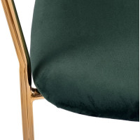 Стул BRADEX Turin зеленый с золотыми ножками FR 0558
