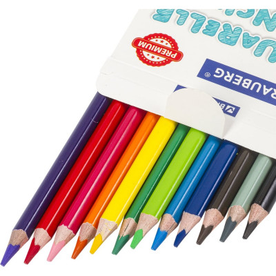 Цветные карандаши BRAUBERG PREMIUM AQUARELLE акварельные, 12 цветов, грифель мягкий 4 мм 181671