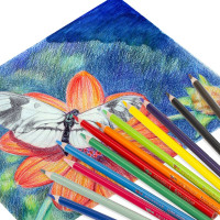 Цветные карандаши BRAUBERG PREMIUM AQUARELLE акварельные, 12 цветов, грифель мягкий 4 мм 181671