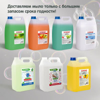 Жидкое антибактериальное биоразлагаемое мыло LAIMA EXPERT 5 л, мелисса и ромашка 607764