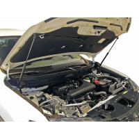 Упоры капота для NISSAN X-Trail (T32), 2018-, 2 шт ARBORI HD.030101