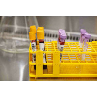 Этикетки THT-17-424-3 BRADY brd30132