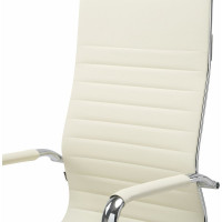 Кресло руководителя компьютерное рабочее офисное/для дома BRABIX Energy Ex-509, экокожа, хром, подлокотники 531166