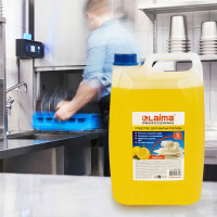 Средство для мытья посуды LAIMA 5 л, PROFESSIONAL, концентрат, Лимон, 601608
