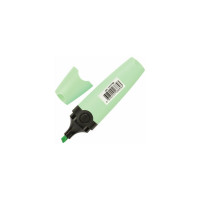 Текстовыделитель 12 шт в упаковке BRAUBERG "DELTA PASTEL" МЯТА линия 1-5 мм  151730