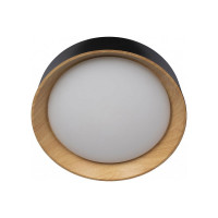 Накладной светильник LOFT IT Coin 10202 Black