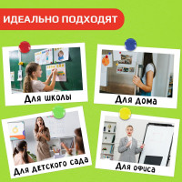 Магниты 24 шт в упаковке Staff БОЛЬШОГО ДИАМЕТРА 40 мм НАБОР 4 шт ассорти BASIC  237484