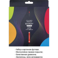 Набор цветных карандашей ACMELIAE blackwood artmate 24 цвета, в картонном футляре 43587