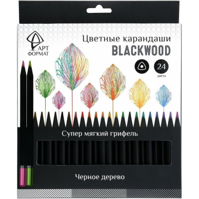 Набор цветных карандашей Артформат Blackwood AF03-051-24