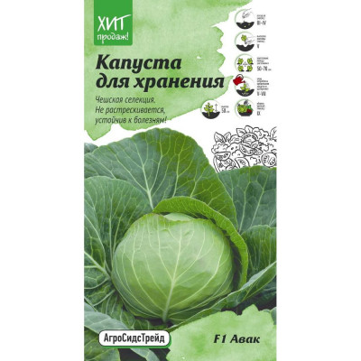 Белокочанная капуста капуста для хранения Агросидстрейд Авак F1 АСТ 120965