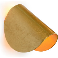 Настенный светильник iLEDEX Cute золотой ZD8077-6W Gold