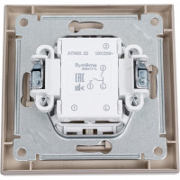 2-клавишный выключатель Systeme Electric AtlasDesign Шампань сх.5, 10АХ, в сборе SE ATN000552