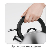Чайник со свистком NADOBA IRMA 3 л, 731401