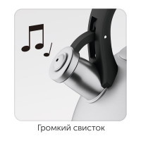 Чайник со свистком NADOBA IRMA 3 л, 731401