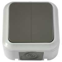 Выключатель Bylectrica 2-клавишная, открытая установка, 6А, IP54, серия ПРАЛЕСКА АКВА, серый, А56-224 03