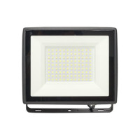 Светодиодный прожектор EKF СДО-3006 100Вт 6500К IP65 Basic FLL-3006-100-6500