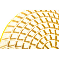 Черепашка АГШК алмазный гибкий диск для влажной шлифовки 125 мм, P 120 Strong СТБ-31200120