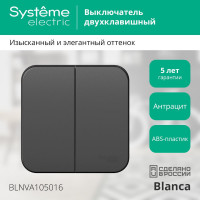 2-клавишный выключатель Systeme Electric Blanca наружный, Антрацит 10А, 250B SE BLNVA105016
