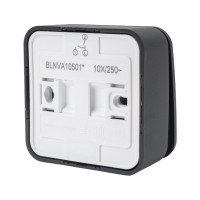 2-клавишный выключатель Systeme Electric Blanca наружный, Антрацит 10А, 250B SE BLNVA105016