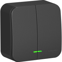 2-клавишный выключатель Systeme Electric Blanca наружный, Антрацит с подсветкой 10А SE BLNVA105116