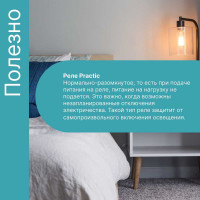 Реле GRITT Practic 1 группа, 220В, 5А 31001