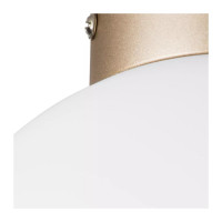 Потолочный светильник Lightstar 812023