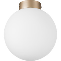 Потолочный светильник Lightstar 812023