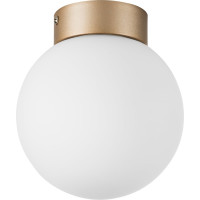 Потолочный светильник Lightstar 812013